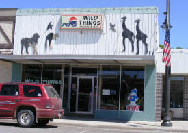 Wild Things Catering Service, Mora Minnesota