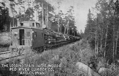 Red River Lumber Company Logging Train, Akeley Minnesota, 1909