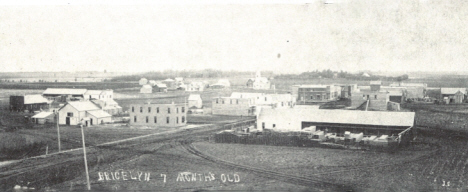 View of Bricelyn Minnesota in its first year