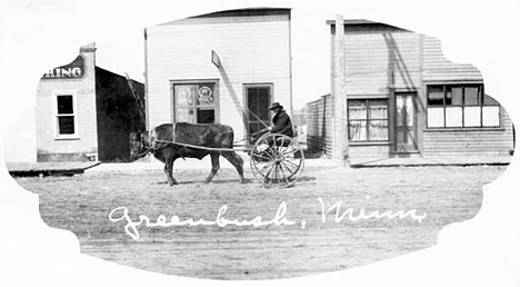 Ox cart, Greenbush Minnesota, 1908
