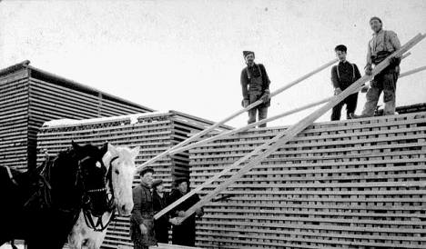 Island Lake Lumber Company, Northome Minnesota, 1920