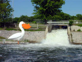Rapids and Pelican in Pelican Rapids Minnesota