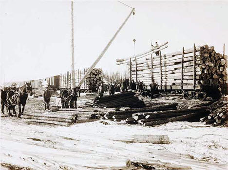 Loading logs onto a train car, Roosevelt Minnesota, 1911