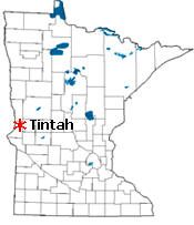 Location of Tintah Minnesota