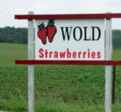 Wold Strawberry Farm, Mabel Minnesota