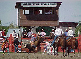 North Star Stampede Rodeo, Effie Minnesota