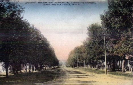 South Section Avenue looking north, Spring Valley Minnesota. 1908