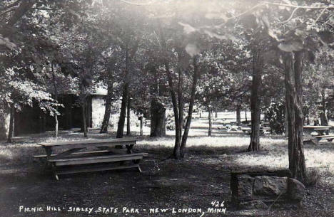 Park Hill, Sibley State Park, New London Minnesota, 1940's