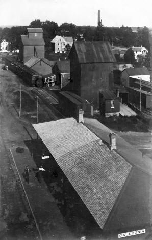 Birdseye view, Caledonia Minnesota, 1910