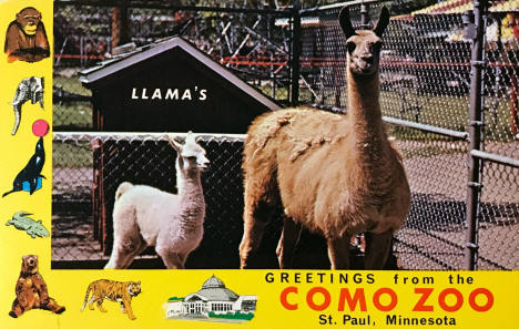 Como Zoo, St. Paul, Minnesota, 1960's