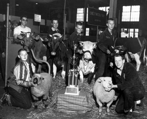 FFA and their prize-winning livestock, Minnesota State Fair, 1952