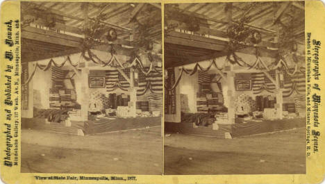 Minnesota State Fair Flags View at State Fair, 1877