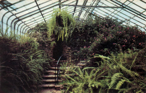 Interior of the Conservatory at Como Park, St. Paul Minnesota, 1953