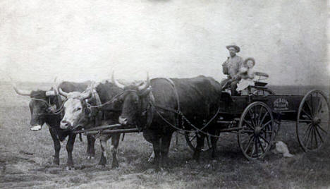 Ox team pulling wagon, Alberta Minnesota, 1890