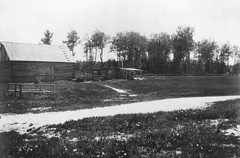 Charles and Mary Koski farm in Idington (Angora), St. Louis County.