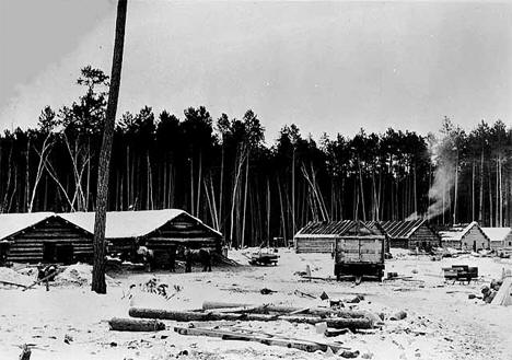 Lumber camp in the Pine Island area west of Big Falls Minnesota, 1902