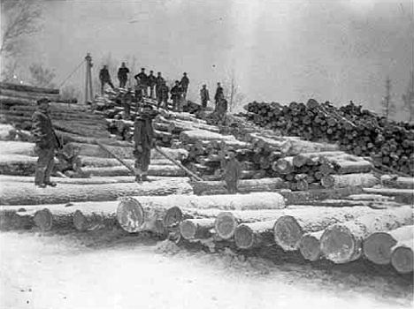 Log pile on the Big Fork River at Big Falls Minnesota, 1905