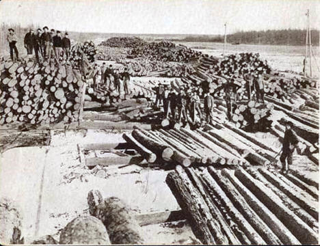Eight and a half million feet of logs on a landing near Big Falls Minnesota, 1905