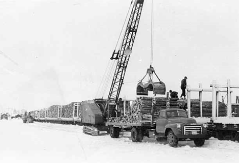 St. Regis pulpwood landing on the Northern Pacific Railroad at Big Falls. Pulpwood being loaded on cars for shipment to Little Falls and Sartell, 1949