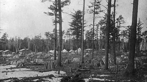 Biwabik Minnesota, 1892
