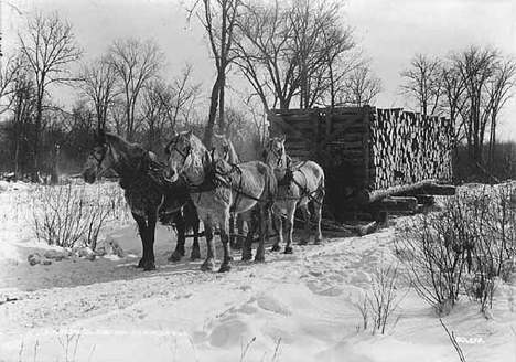 Load of logs, N. B. Shank Company Camp Number One, Biwabik Minnesota, 1914