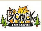 Bieniek Tree Service, Bowlus Minnesota