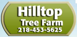 Hilltop Tree Farm, Brookston Minnesota