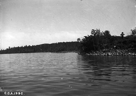 Cass Lake looking north toward Cedar Island, 1900