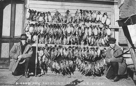 Duck Hunters at Cass Lake Minnesota, 1914