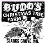 Budd's Christmas Tree Farm, Clarks Grove Minnesota