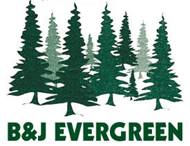 B&J Evergreen, Clear Lake Minnesota