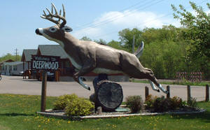 Welcome to Deerwood Minnesota