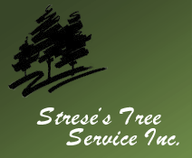 Strese's Tree Service, Dennison Minnesota