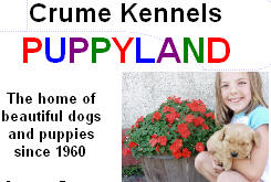 Crume Kennels Puppy Land, Glyndon Minnesota