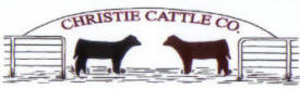 Christie Cattle Company, Hancock Minnesota
