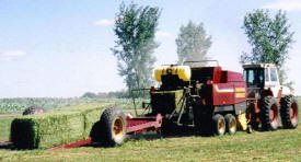 Orleans Hay & Grain Company, Lancaster Minnesota