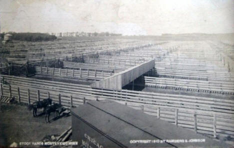 Stock Yards, Montevideo Minnesota, 1910