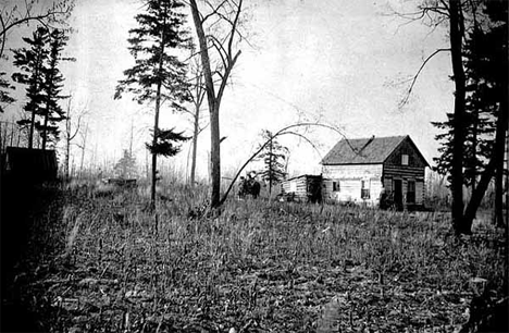 Cabins on homestead of Mrs. Mary Hannah Cotton on the west shore of Lake Onamia, Mille Lacs County, 1897