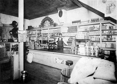Dahlgren Brothers Store, Onamia; Alof (Olaf) Dahlgren behind counter, 1911