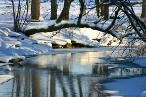 Skunk River in the Winter near Pierz Minnesota, 2006