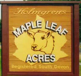 Maple Leaf Acres Farm, Randall Minnesota
