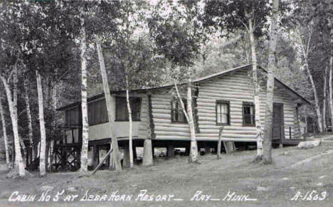 Cabin at Deer Horn Resort, Ray Minnesota, 1950's