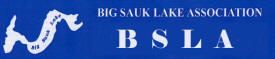 Big Sauk Lake Association 