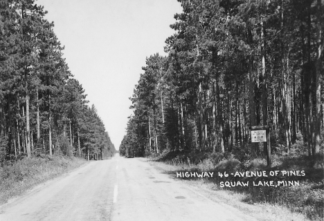 Highway 46, Avenue of the Pines, Squaw Lake, Minnesota, 1960's