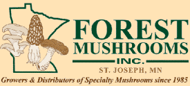 Forest Mushrooms Inc, St. Joseph Minnesota