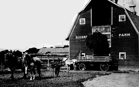 Storing hay in barn loft at the F. A. Green farm, Stephen Minnesota, 1925