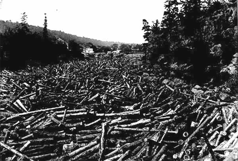 Log jam on the St. Croix River at Taylors Falls Minnesota, 1885