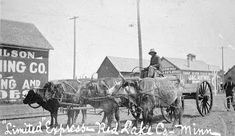 Oxen and wagon at Thief River Falls Minnesota, 1907