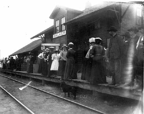 Daily event of meeting the train at Walker Minnesota, 1900