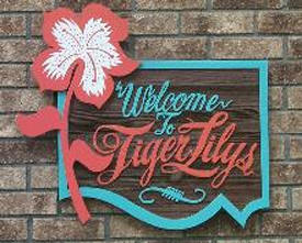 Tiger Lily's Boutique, Walker Minnesota